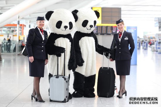 希思罗第五航站楼的“大熊猫”乘客